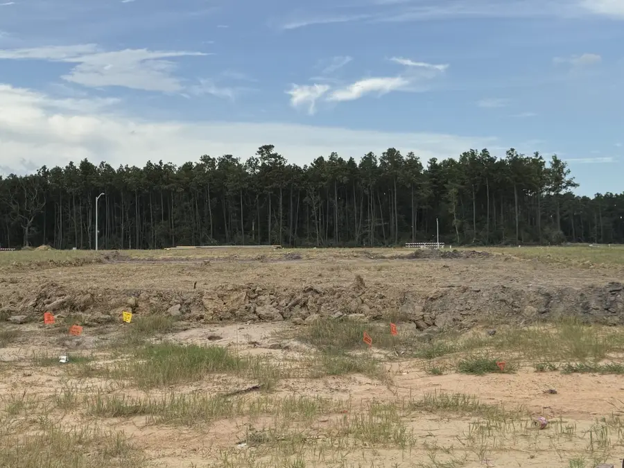 15468 Woody Haven Drive, Conroe, TX 77302 - #2