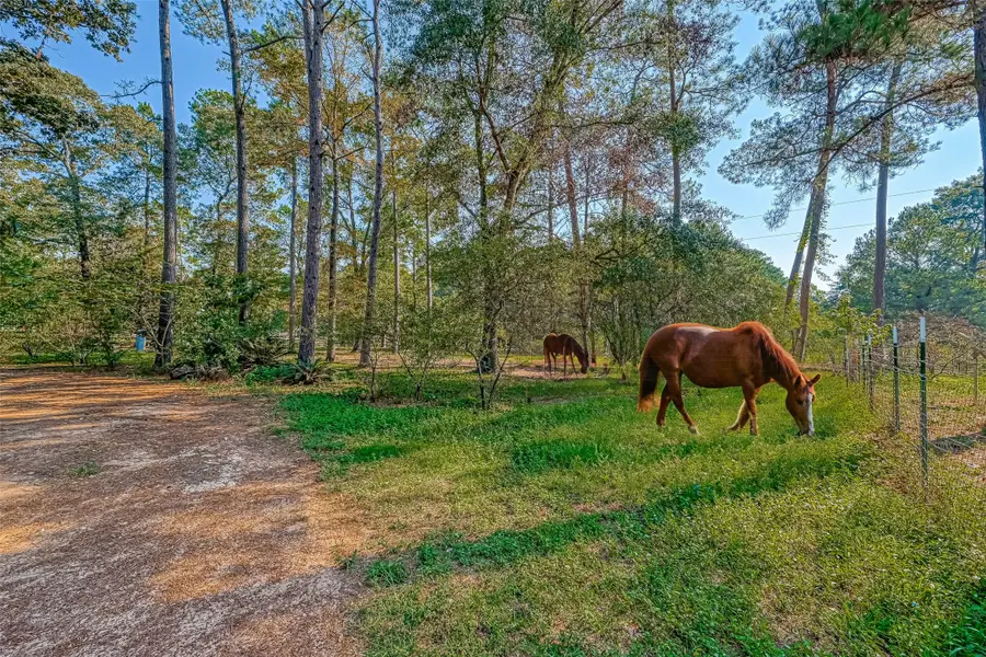 648 Oak Ridge Street, Shepherd Evergreen, TX 77328 - Image #3