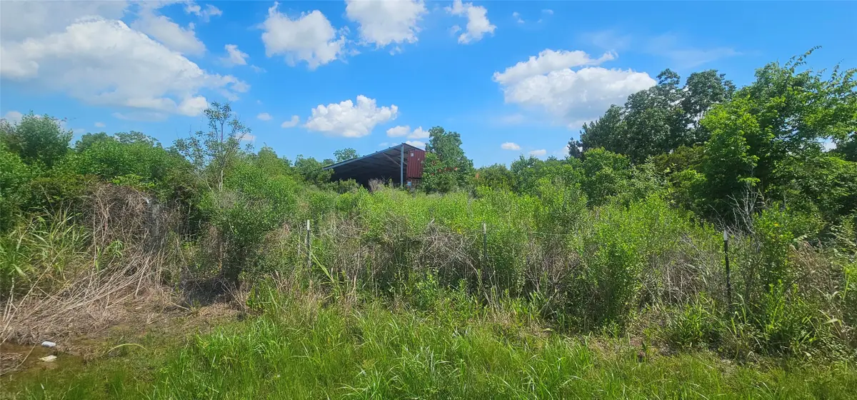 3528 Belton Lane, Anahuac, TX 77514 - #1