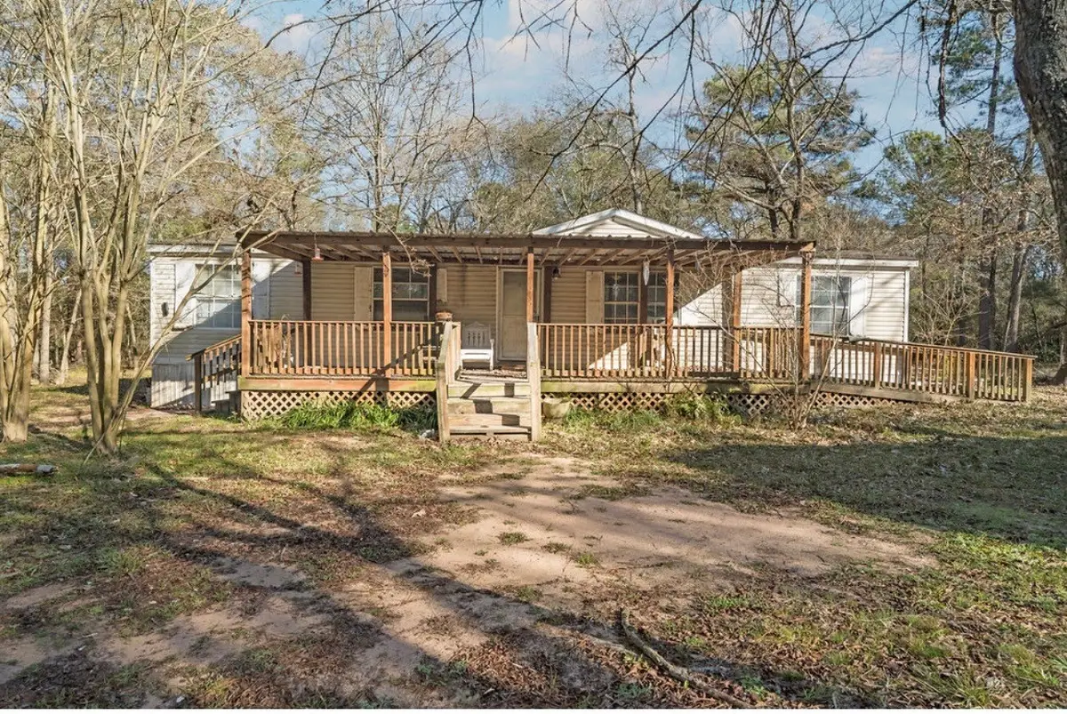 24230 Marshburn Drive, Hockley, TX 77447 - Image #1