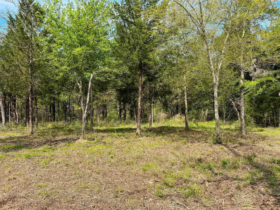 TBD Cr 389, Jewett, TX 75846 - Image #2