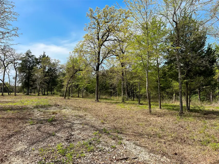 TBD Cr 389, Jewett, TX 75846 - Image #3