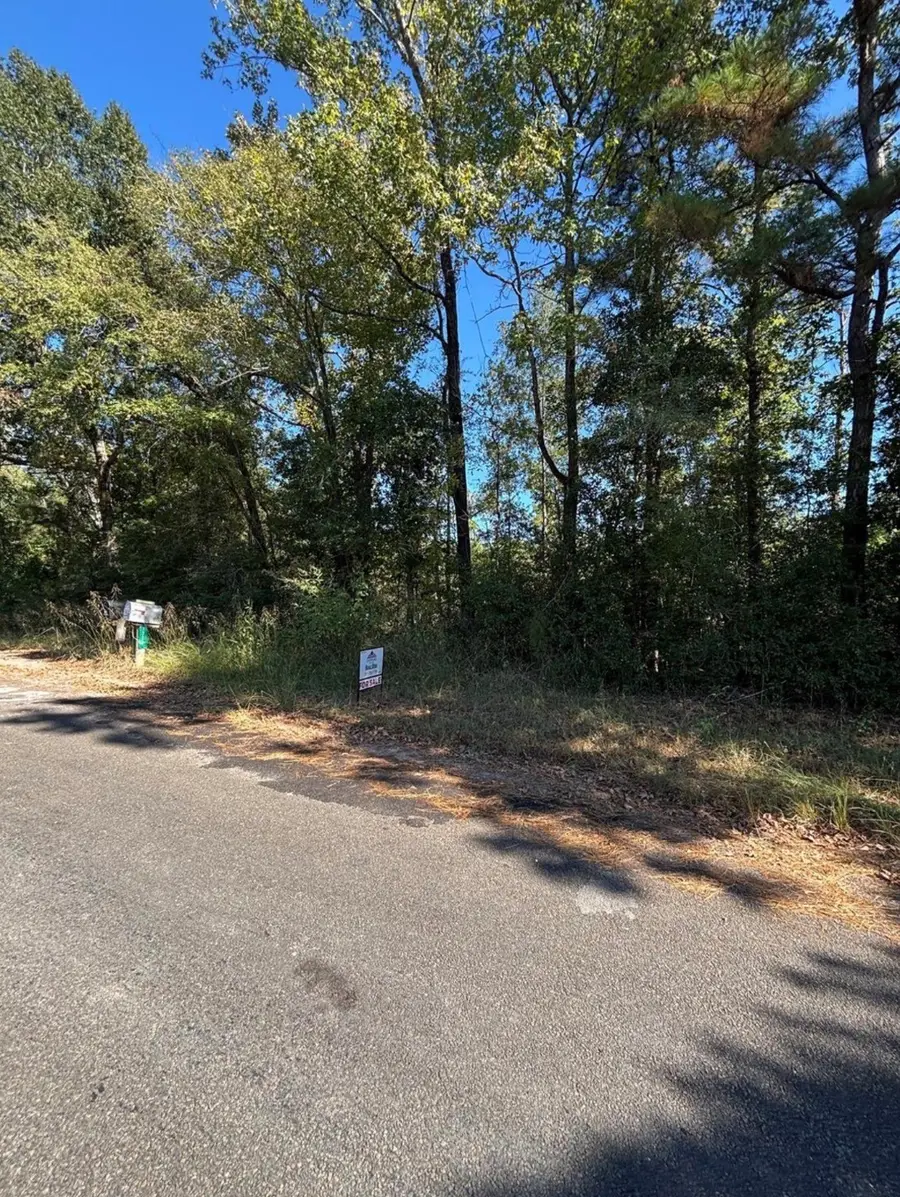 0 Old Highway 35 N, Livingston, TX 77351 - #3
