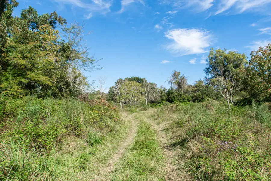 TBD Highway 36, Jones Creek, TX 77541 - #3