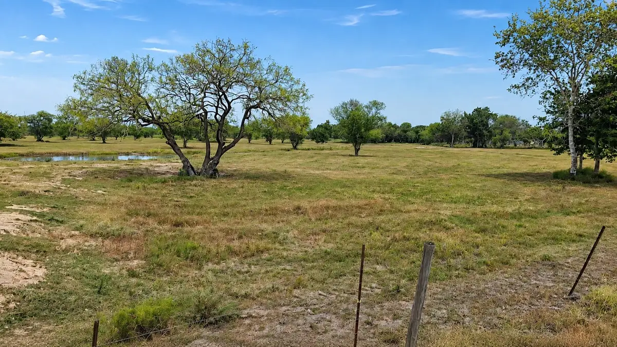 13540 Moody Road, Needville, TX 77461 - #1