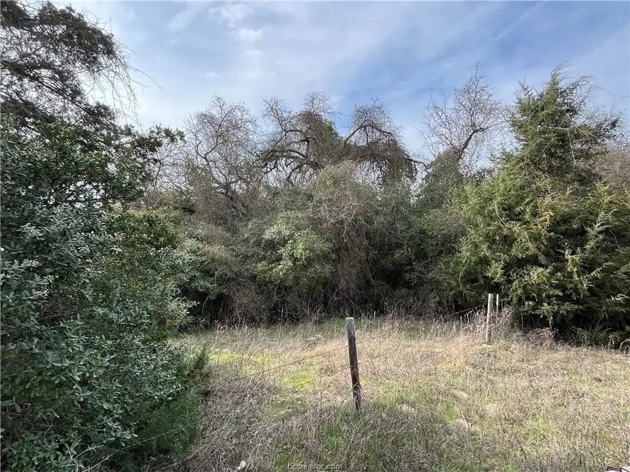 TBD County Road 373, Caldwell, TX 77836 - #2