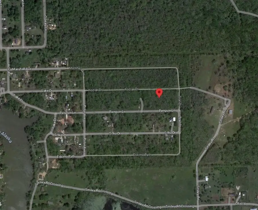 0 Kodiak Dr Drive, Angleton, TX 77515 - #2