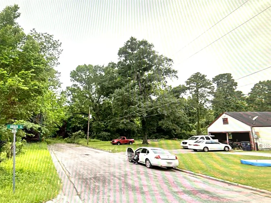 310 Ogletree Street, Livingston, TX 77351 - Image #3