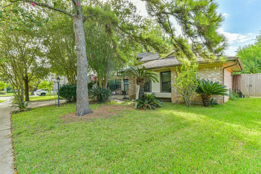 14703 La Rana Drive, Houston, TX 77083 - #2
