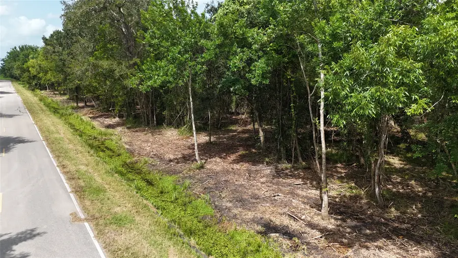 TBD Lot 2 County Road 647, Guy, TX 77444 - #2