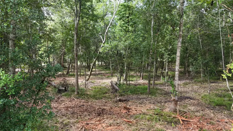 TBD Lot 2 County Road 647, Guy, TX 77444 - #3