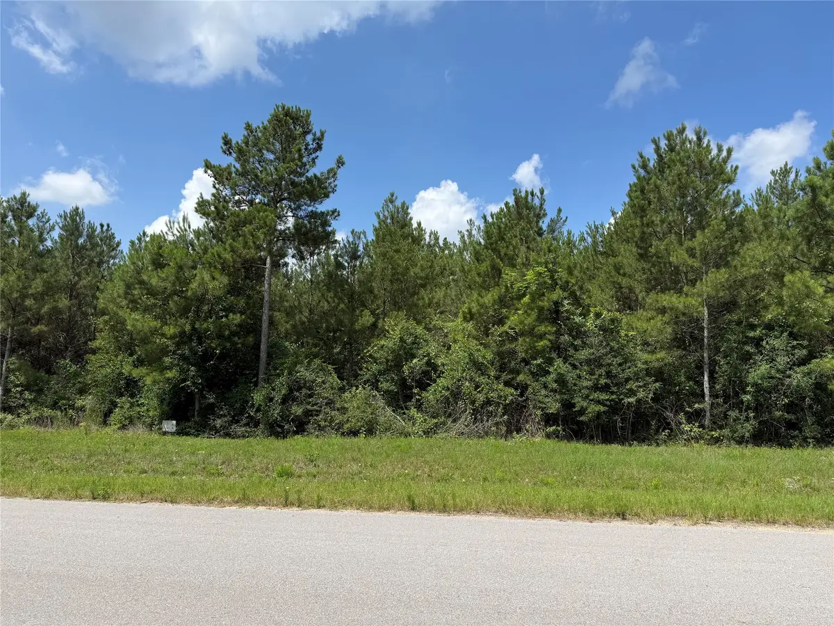15751 Wood Grove Way, Willis, TX 77378 - #1