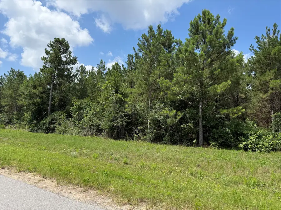 15751 Wood Grove Way, Willis, TX 77378 - #2