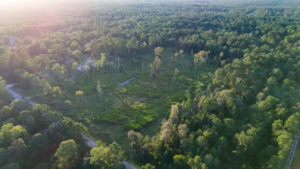 24340 & 24350 Weeren Road, Montgomery, TX 77316