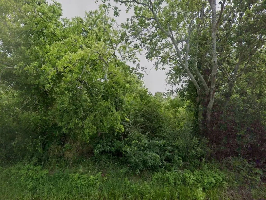 7550 Hacker Road, Hitchcock, TX 77563 - #1