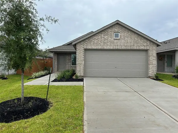 15203 Abella Drive, Montgomery, TX 77316