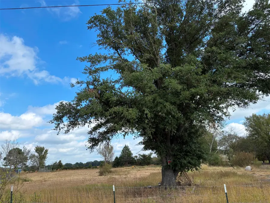 2443 Fm 1653, Ben Wheeler, TX 75754 - Image #2