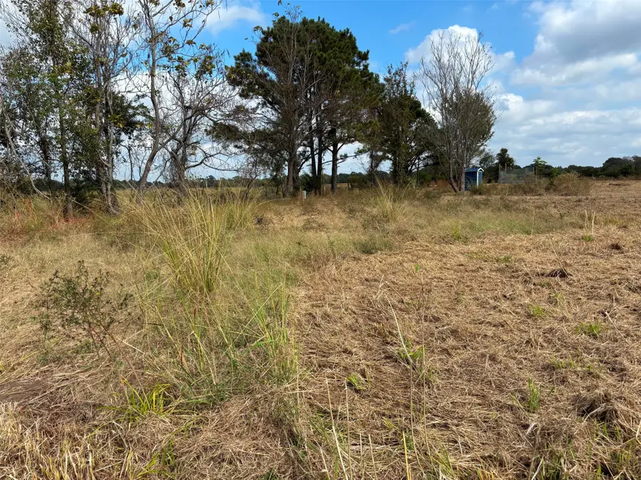 2443 Fm 1653, Ben Wheeler, TX 75754 - Image #3