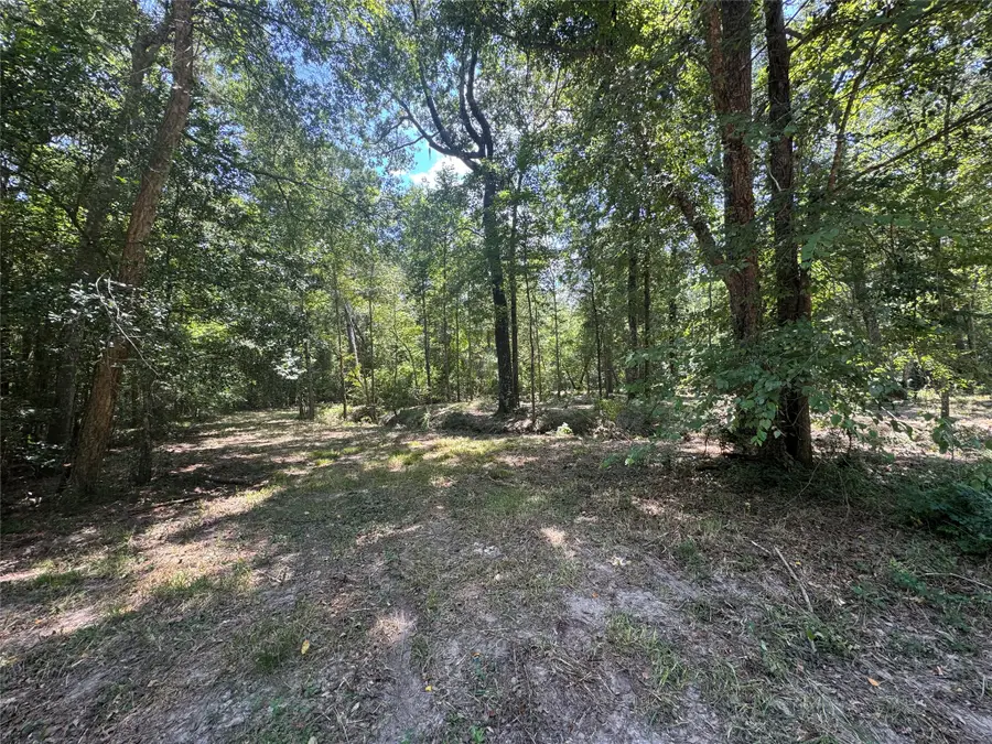 TBD Cr 3141 W Road, Cleveland, TX 77327 - #3