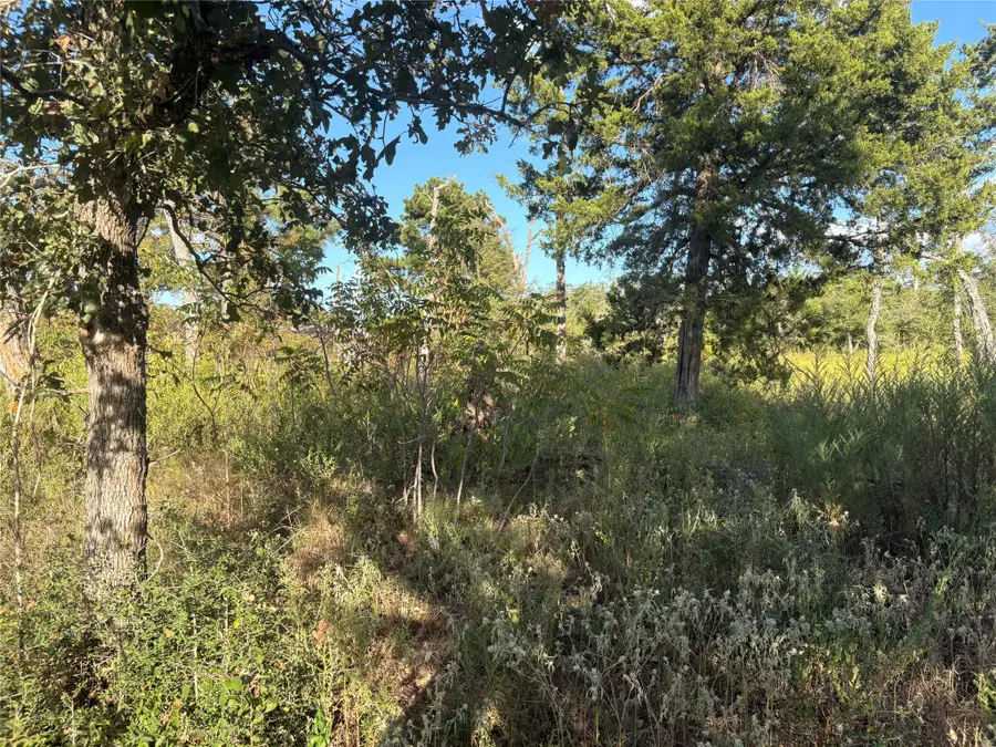 000 Park View Drive, Hempstead, TX 77445 - #3
