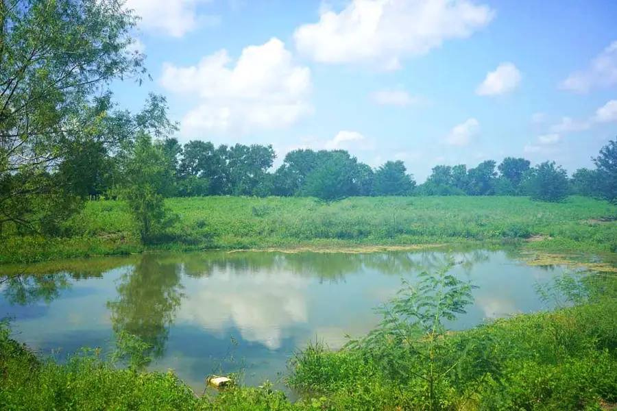 00065 County Road 419, Navasota, TX 77868 - Image #2