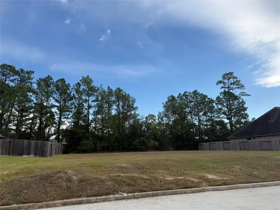 15706 Gibson Grass Court, Spring, TX 77379 - Image #3