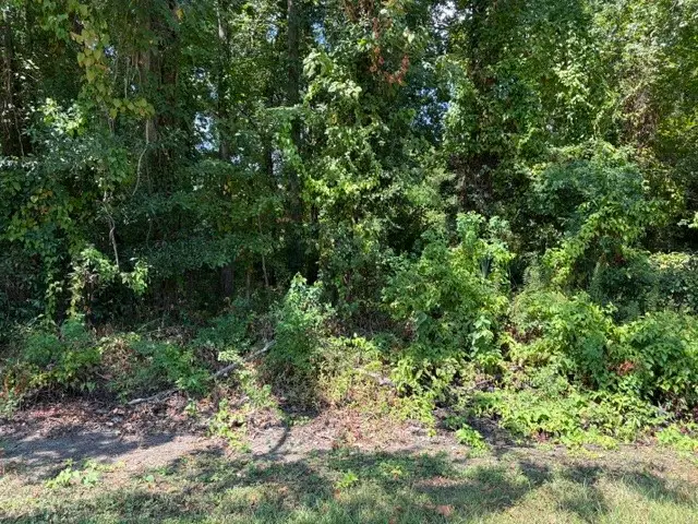 TBD Beaver Den Drive, Coldspring, TX 77331 - #1