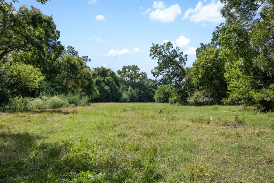 38 +/- Acres Fm 1774, Anderson, TX 77830 - #3