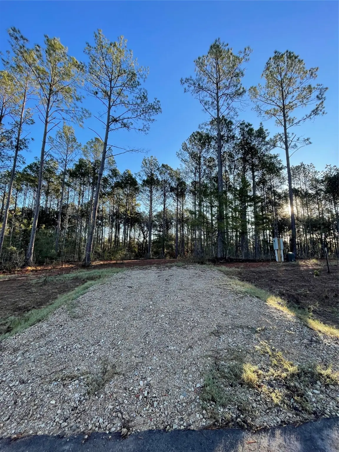 11350 Annie Creek Drive, Willis, TX 77378 - #1