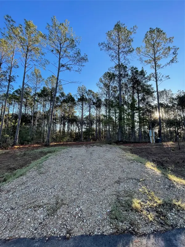 11350 Annie Creek Drive, Willis, TX 77378