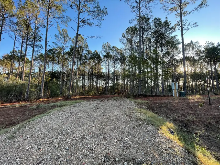 11350 Annie Creek Drive, Willis, TX 77378 - #2