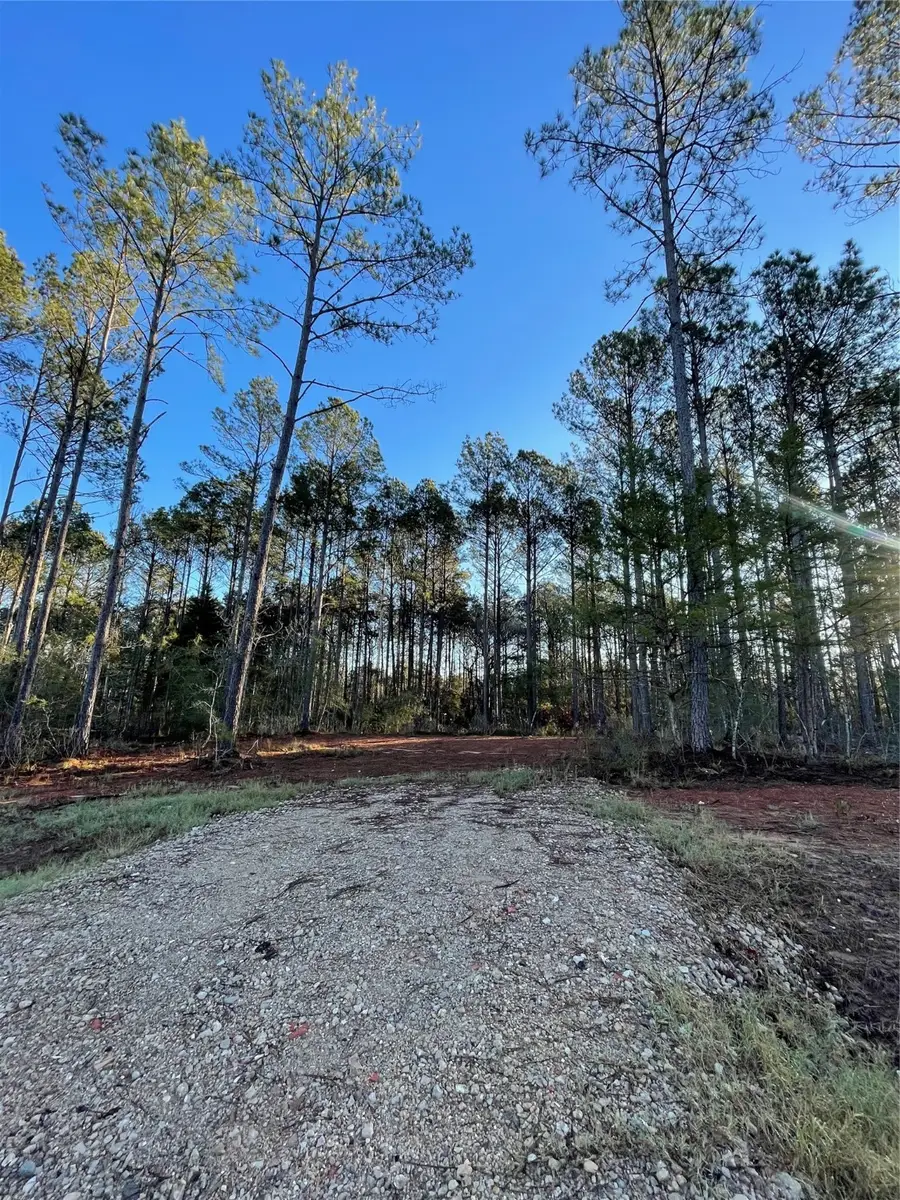 11350 Annie Creek Drive, Willis, TX 77378 - #3