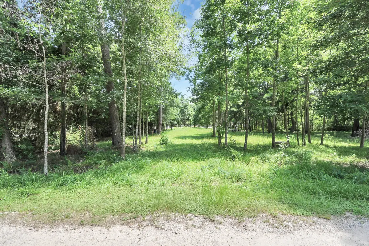 00 Golden Lane, Huffman, TX 77336 - #1