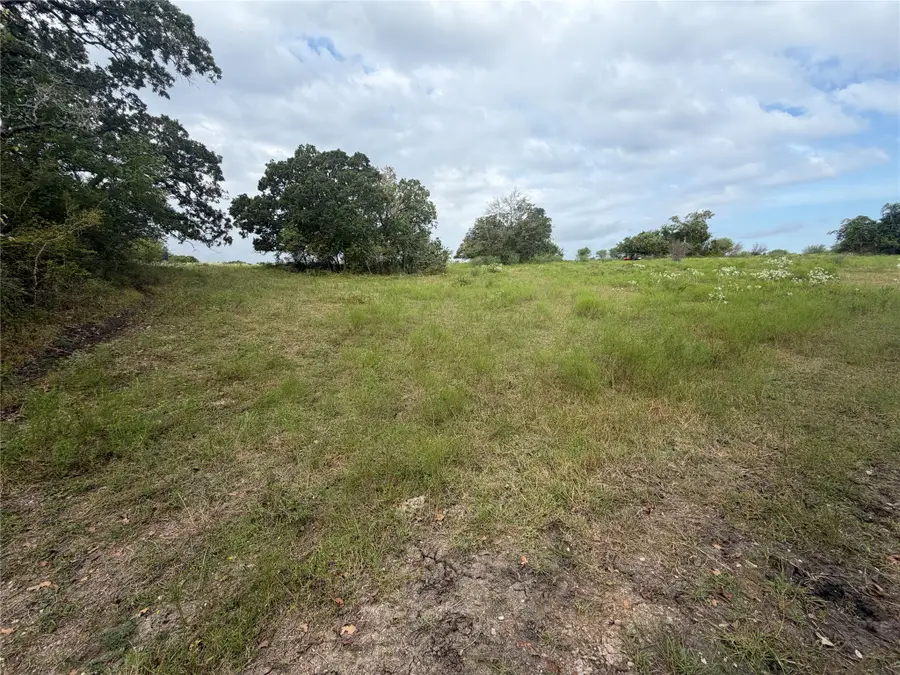 13030 County Road 446, Navasota, TX 77868 - #3