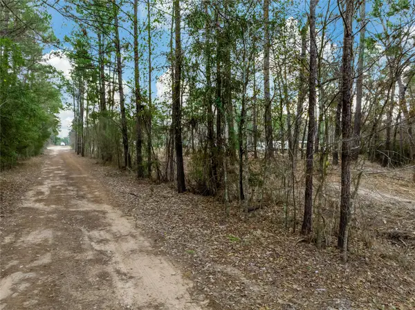 Lot 12 Mayhaw Lane, Plantersville, TX 77363