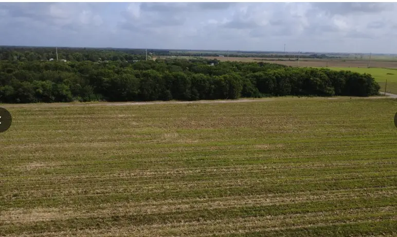 5735 Van Steinberg Road, East Bernard, TX 77435 - #2