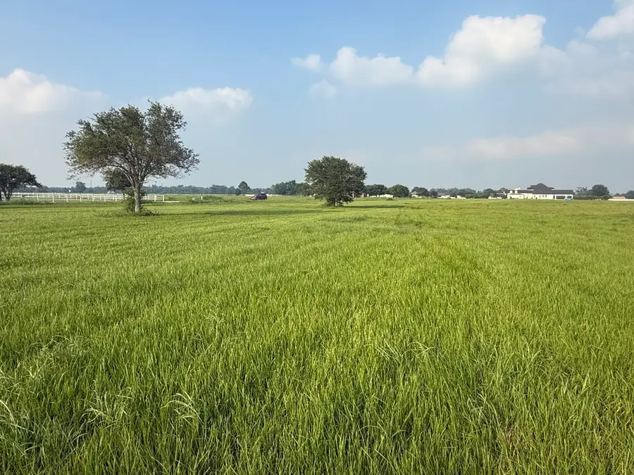 3211 Pearce Drive, Rosharon, TX 77583 - #2