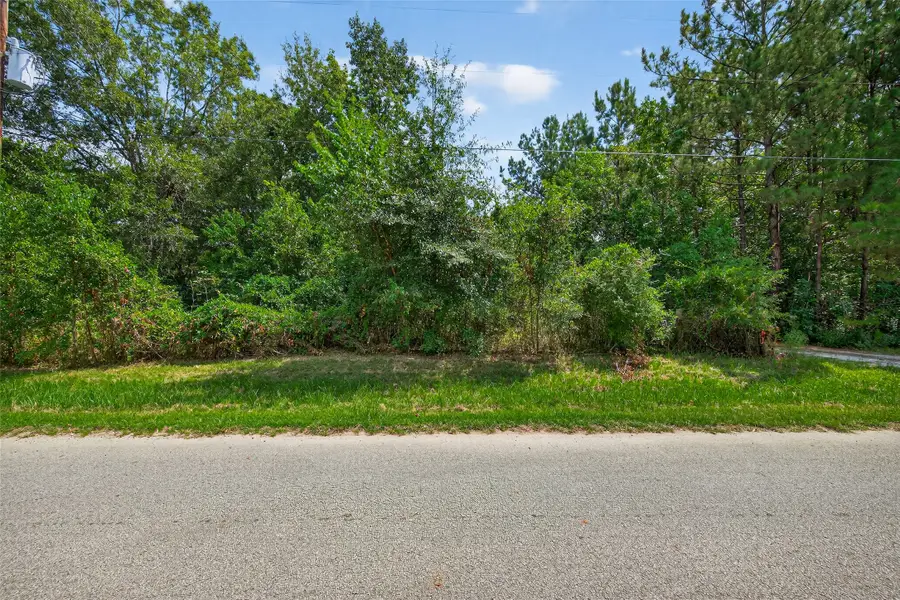 12297 Rebel Road, Cleveland, TX 77327 - #3
