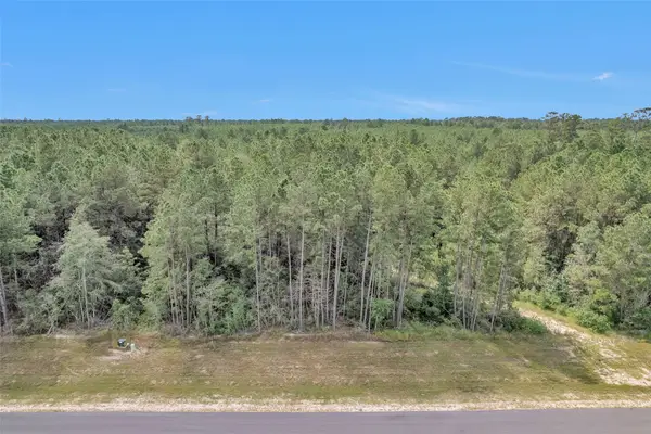 11976 Highbranch Way, Willis, TX 77378