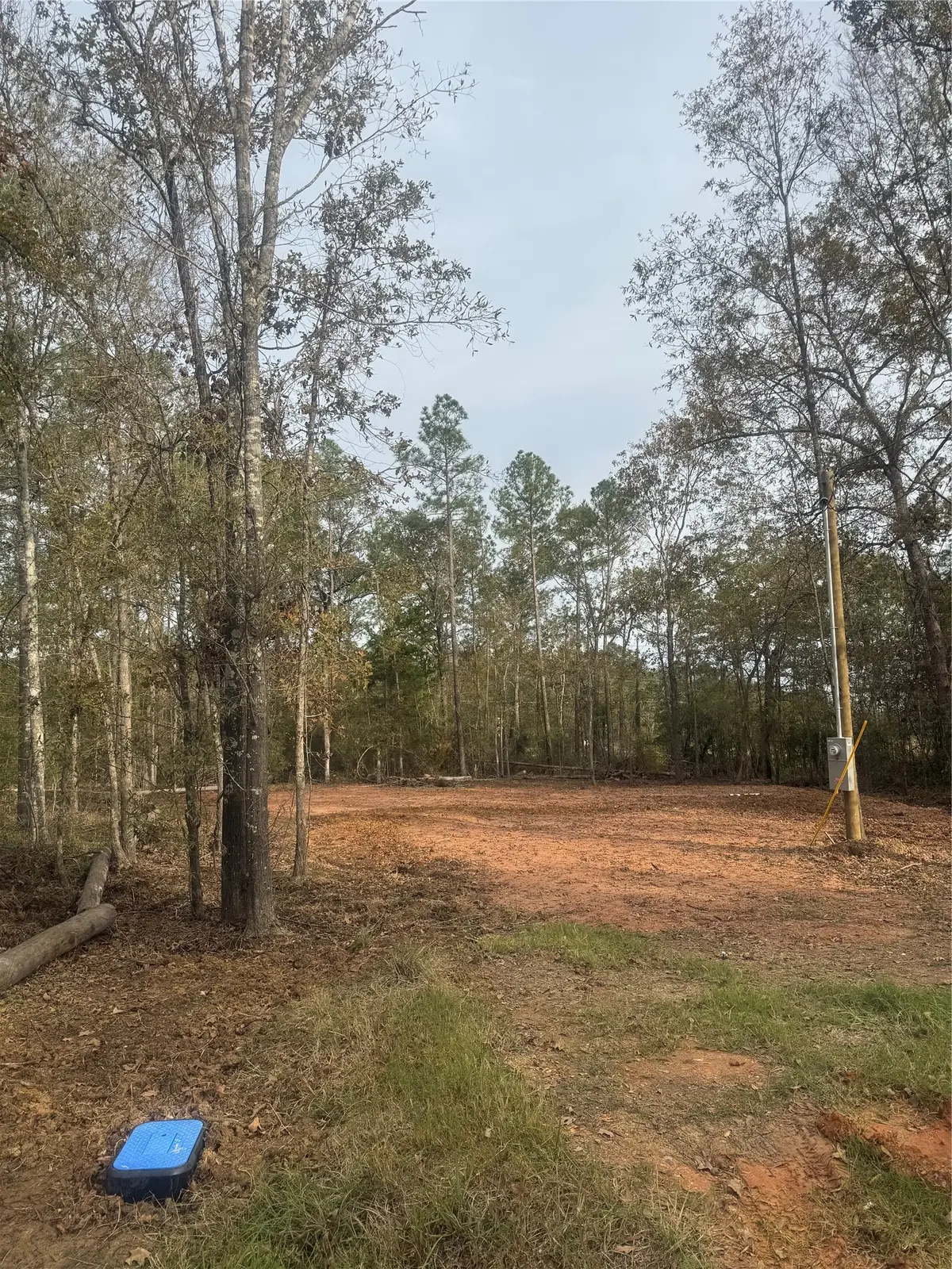 197 Alta Vista Drive, Livingston, TX 77351 - #1