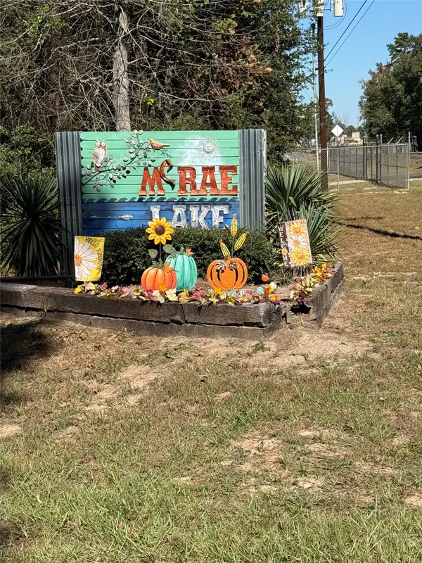 TBD3 Lake Shore Drive, Conroe, TX 77303