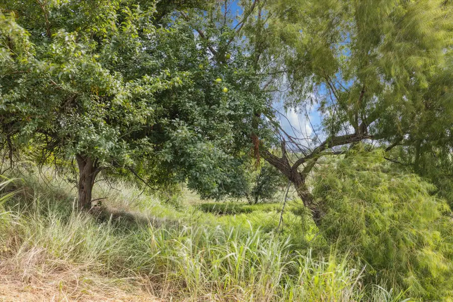 230 Vineyard View Trail Lot 24, Carmine, TX 78932 - #3