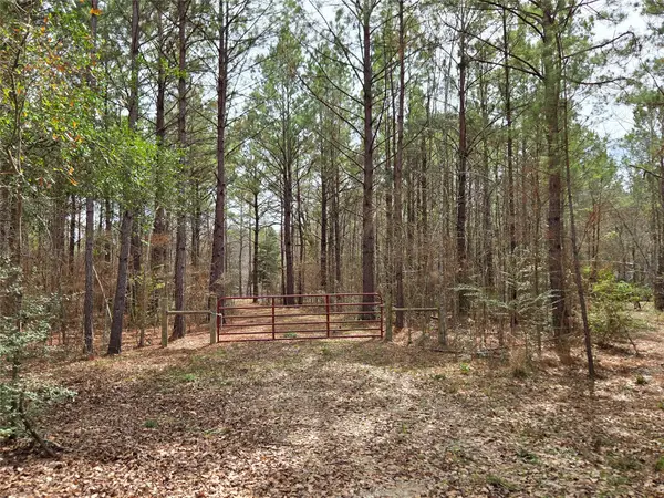 186 Blythe Rd, Lufkin, TX 75901