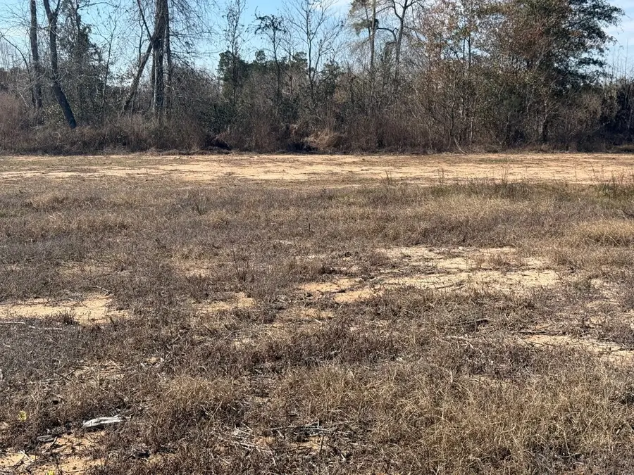 6097 Road 5872, Cleveland, TX 77327 - #3
