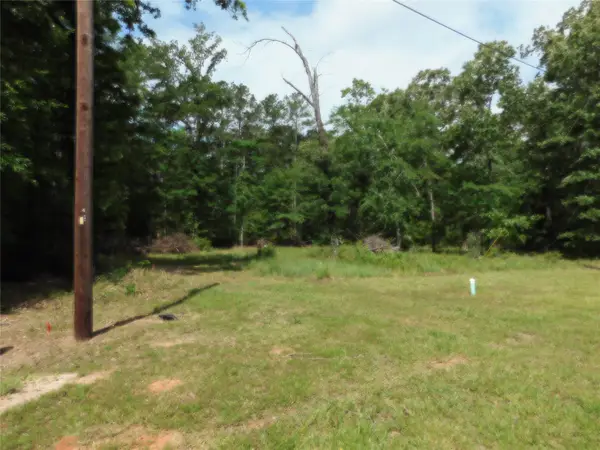 195 Moonlite Drive, Livingston, TX 77351