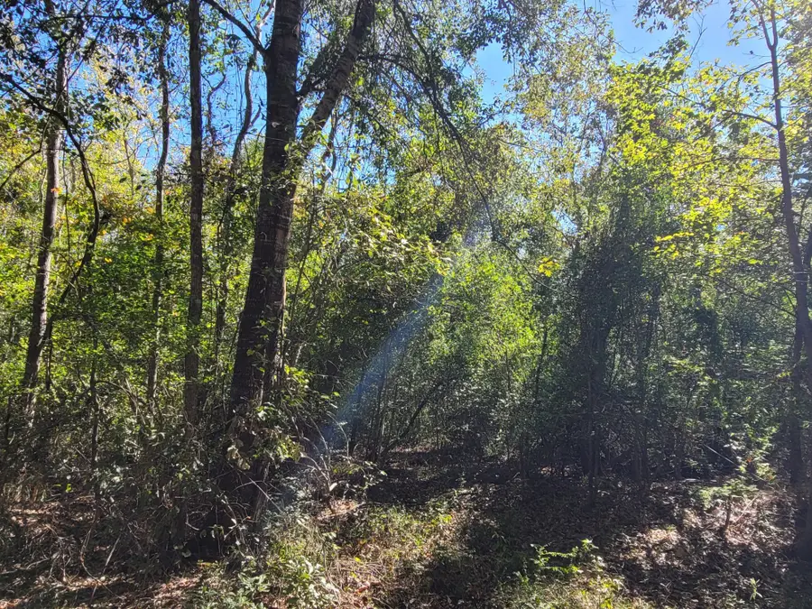 10785 Fm-2518, Cleveland, TX 77327 - #2