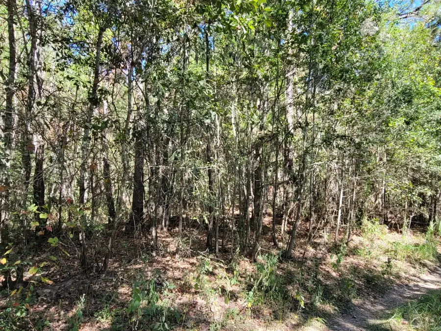 10785 Fm-2518, Cleveland, TX 77327 - #3