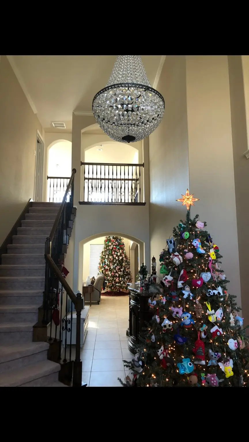 1103 Deer Valley Drive, Friendswood, TX 77546 - Image #2