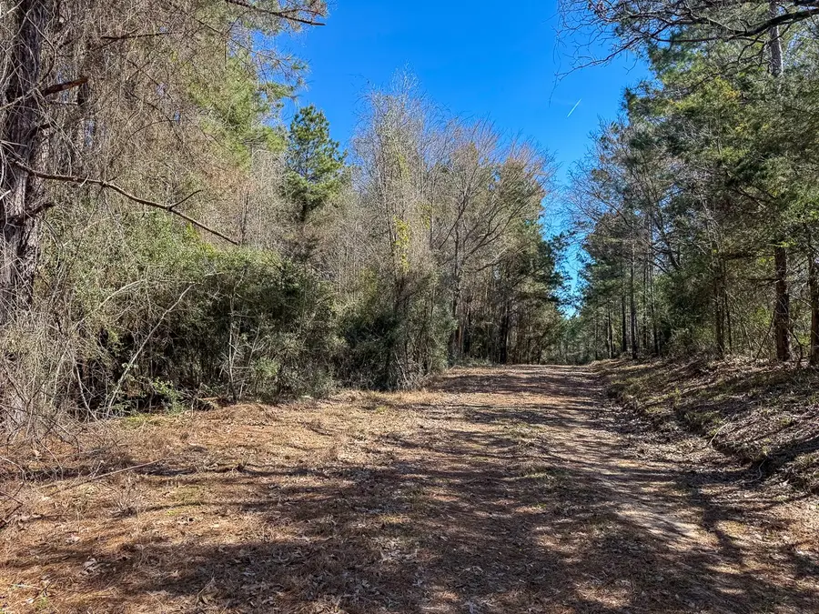 1 Lyons Cemetery Road, Moscow, TX 75960 - #3