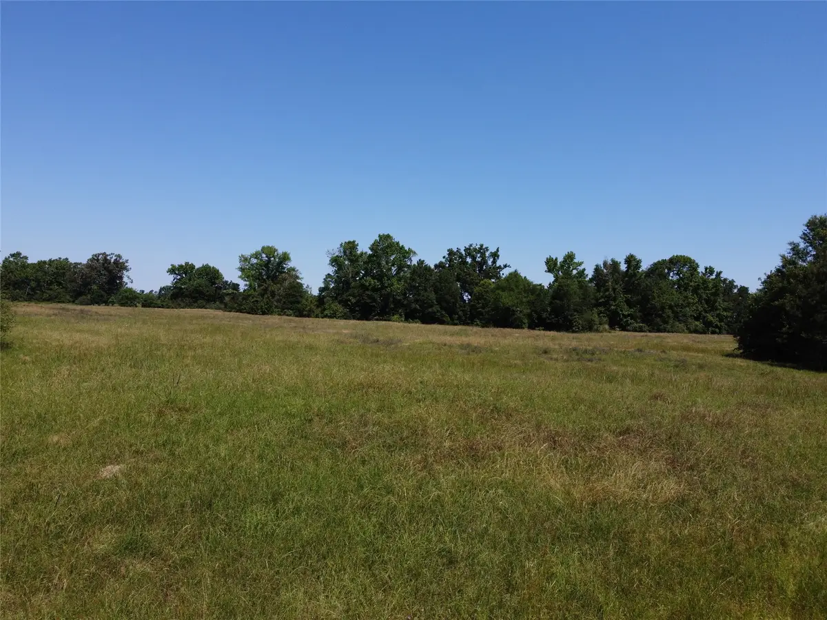 TBD County Road 295, Garrison, TX 75946 - #1